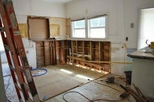 homeowner-termite-damage