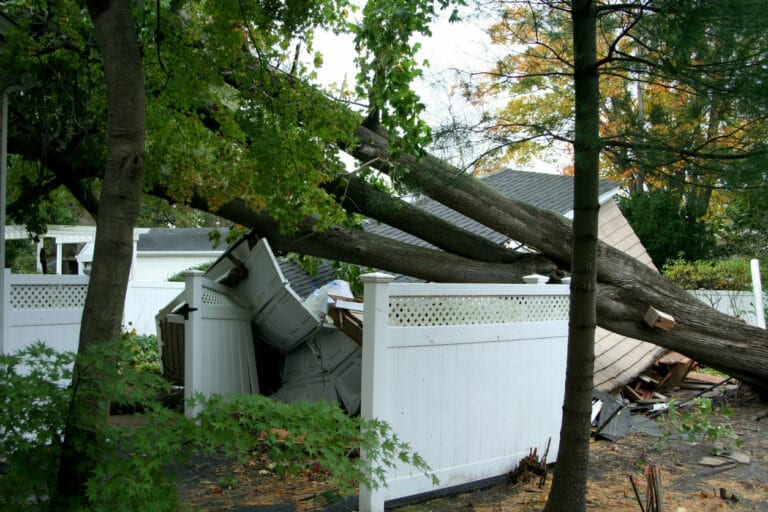 Does Home Insurance Cover Fallen Trees Tom Needham Insurance Agency