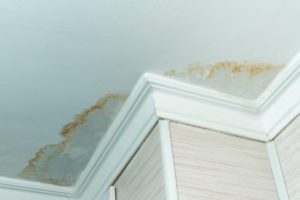 When-does-homeowners-insurance-cover-roof-leaks