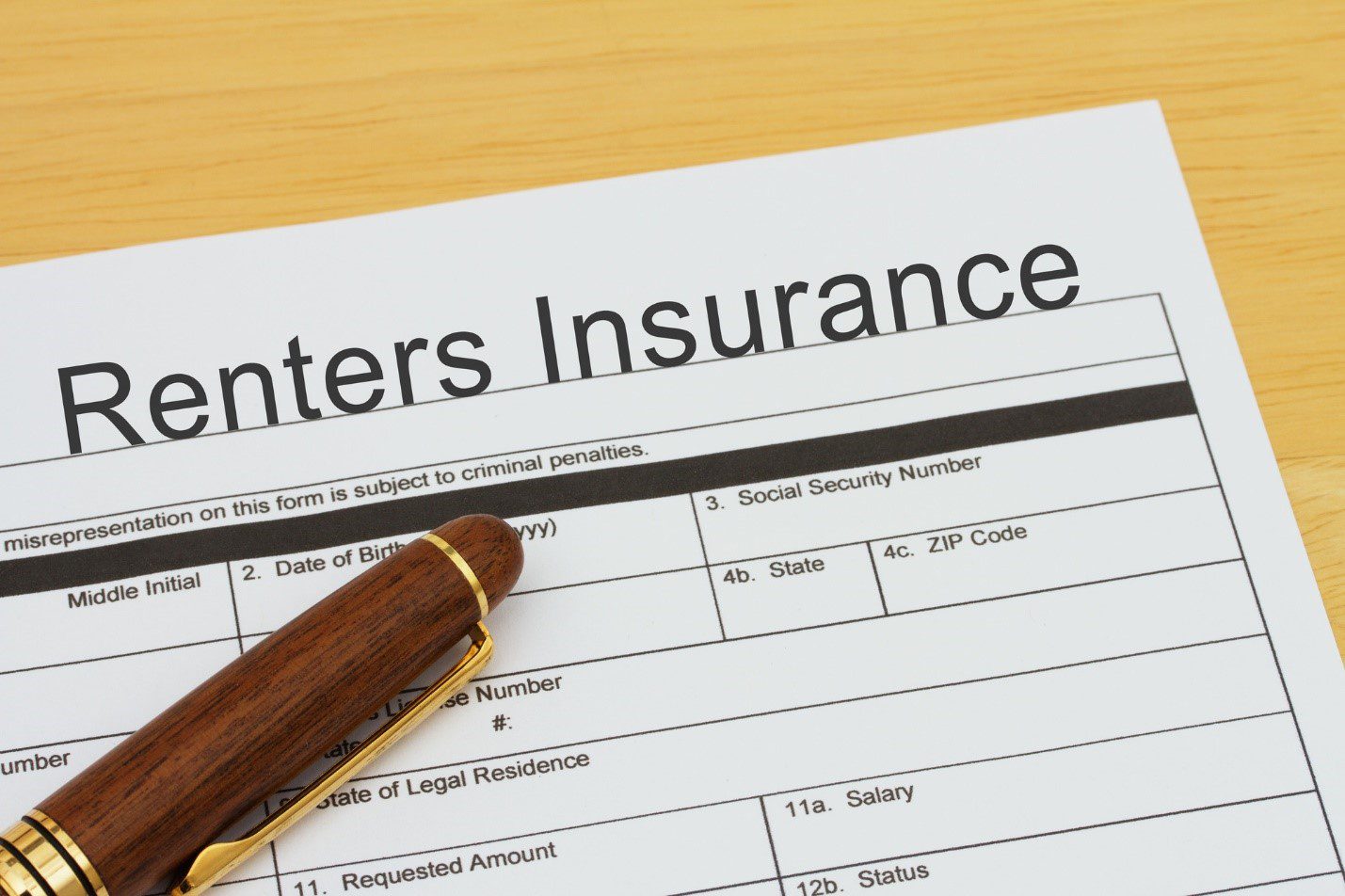 What is renter's insurance